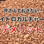 ハイドロカルチャー デメリット