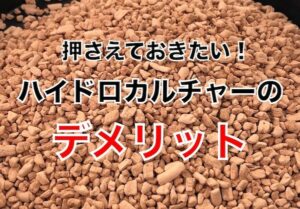 ハイドロカルチャー デメリット