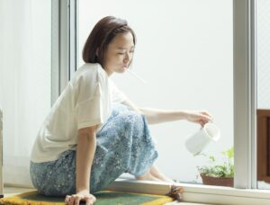 観葉植物の水やり